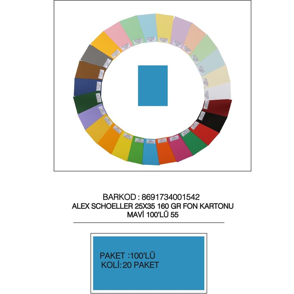 Alex Schoeller Fon Kartonu 160 GR 25x35 55 Mavi (1 Adet)