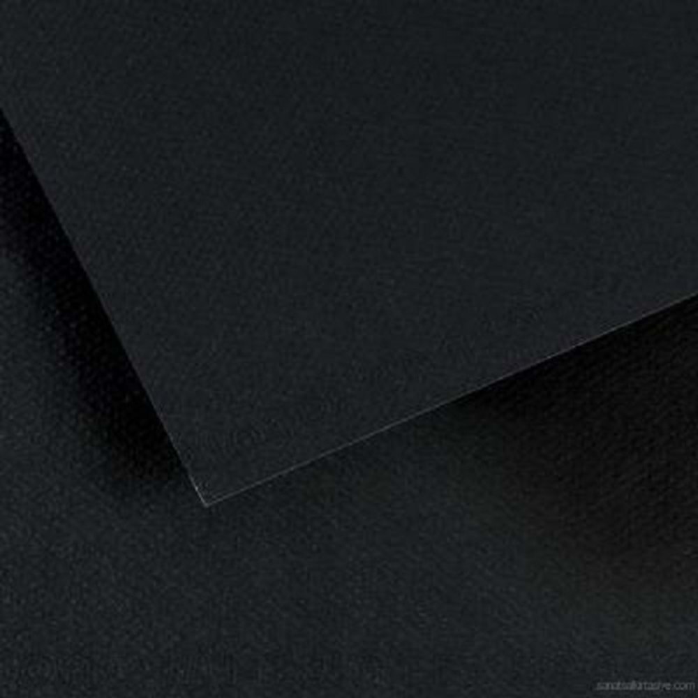 Canson Fon Kartonu (Dokulu) Mı-Teıntes 25 Lİ 50x65 160 GR 425 Black 200361014(1 Adet)