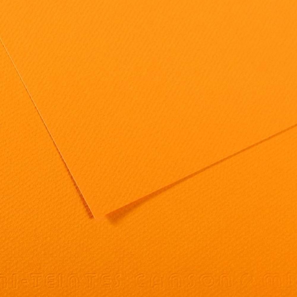 Canson Fon Kartonu (Dokulu) Mı-Teıntes Sh Canmt 50x65 160 GR Ylw 553 31032S113 (1 Adet)