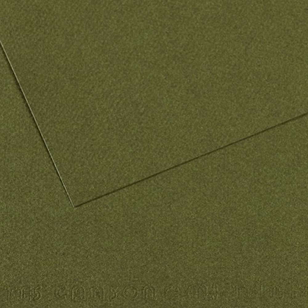 Canson Fon Kartonu (Dokulu) Mı-Teıntes Sh Canmt 50x65 160 GR Grn 448 (1 Adet)