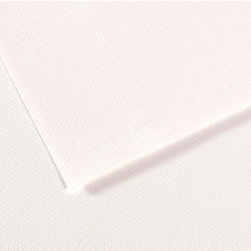 Canson Fon Kartonu (Dokulu) Mı-Teıntes Sh Canmt 50x65 160 GR Whıt 180(1 Adet)