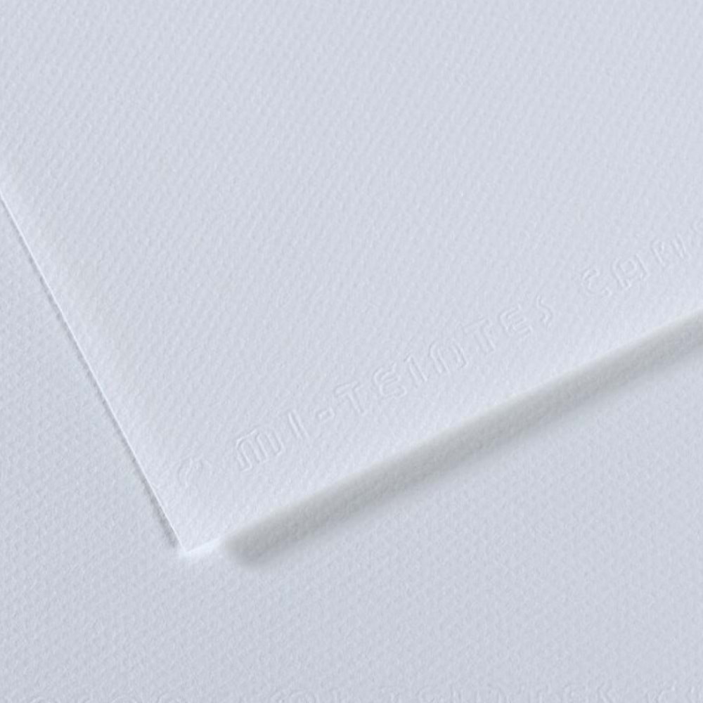 Canson Fon Kartonu (Dokulu) Mı-Teıntes Sh Canmt 50x65 160 gr Blu 181 (1 Adet)