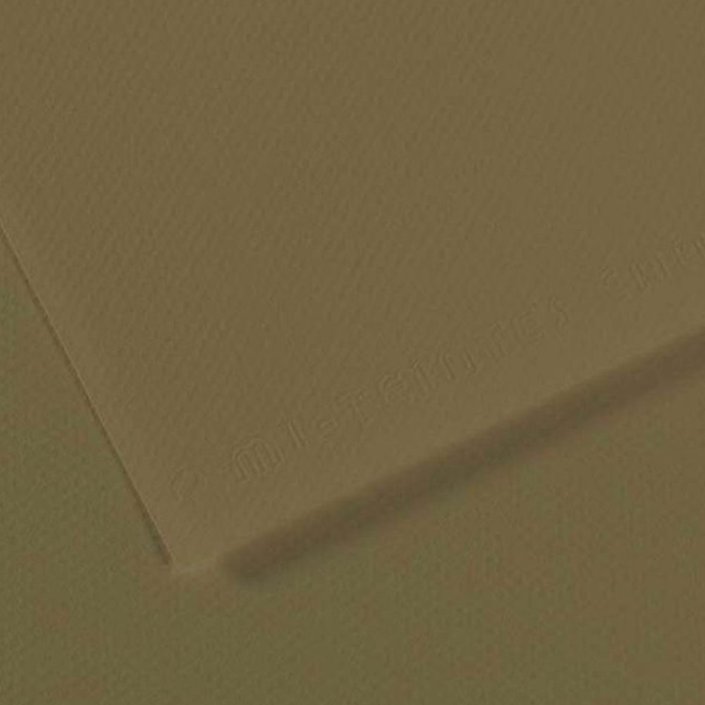 Canson Fon Kartonu (Dokulu) Mı-Teıntes Sh Canmt 50x65 160 gr Grn 191 (1 Adet)