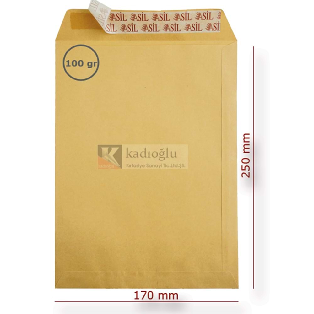 Asil Doğan Torba Zarf Formula Silikonlu 17x25 100 gr (1 Adet)