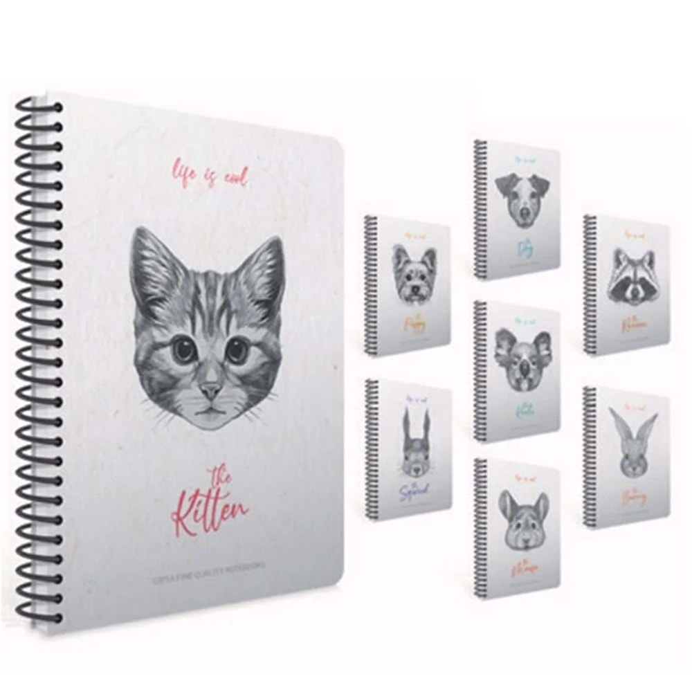 Gıpta Lıfe Is Cool Spiralli Sert Kapak Defter 19x26 120 Yp Kareli