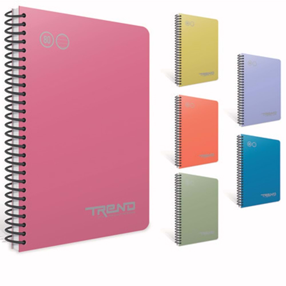 Gıpta Spiralli Plastik Kapak Defter Paw A4 80 YP Kareli