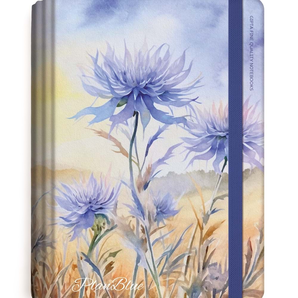 Gıpta Plan Blue Spiralli Sert Kapak Defter 13x21 120yp. Çizgili+Kareli