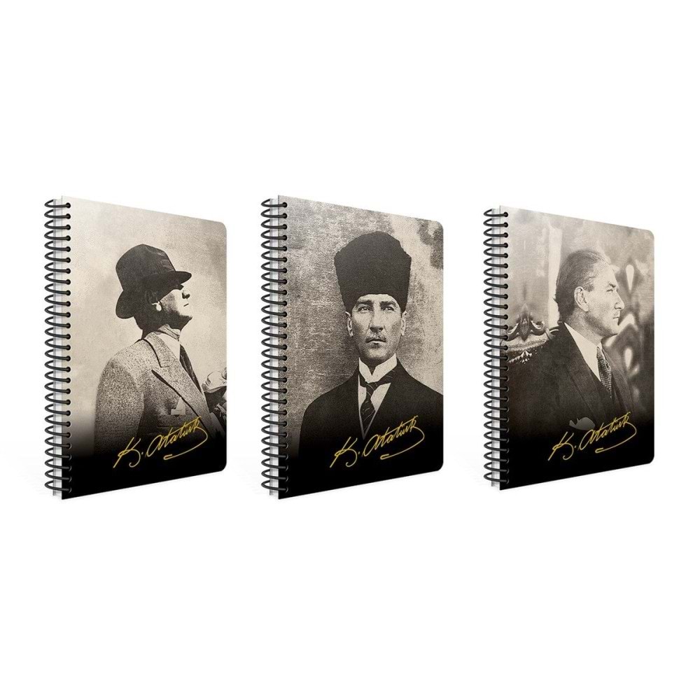 Gıpta Günlük Ajanda Atatürk 17x24 409-akk