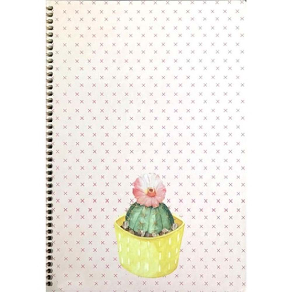 Keskin Color Spriralli Sert Kapak Saguaro Defter 20x28 100 YP Kareli