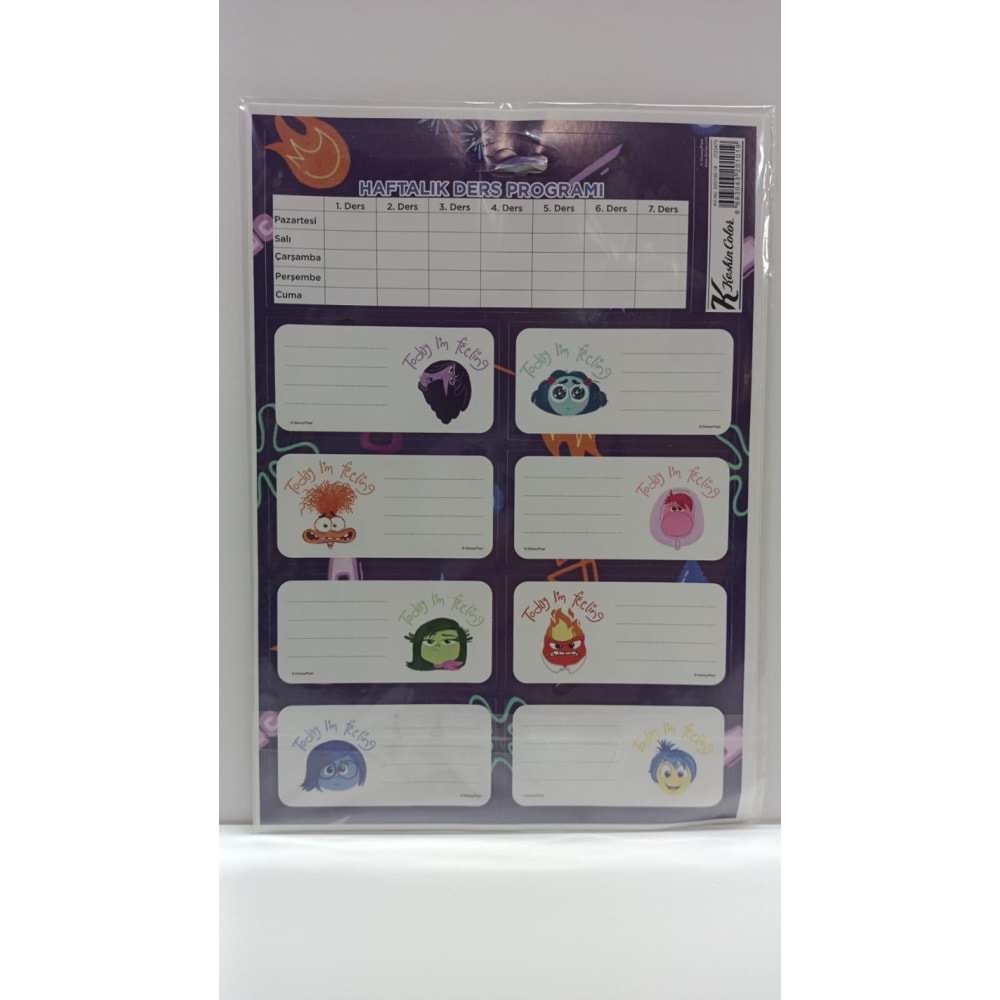 Ters Yüz Ders Programlı 3 Lü Etiket