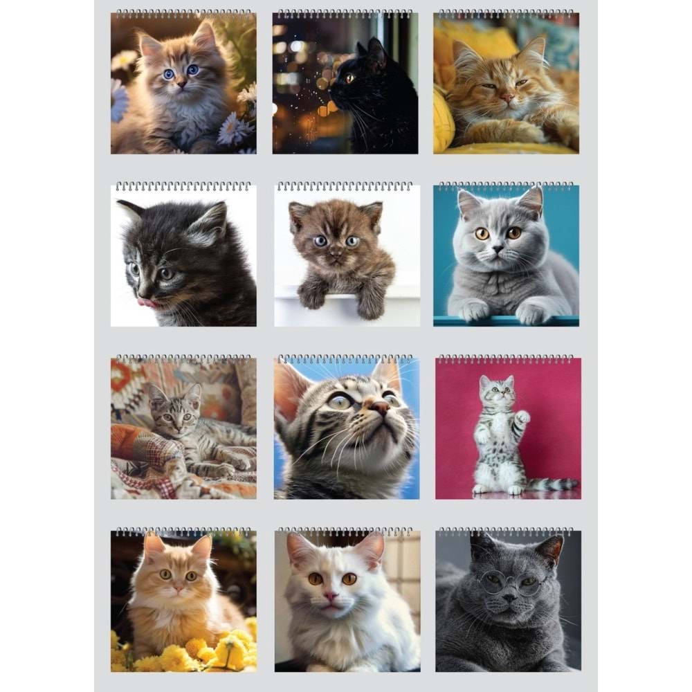 Keskin Color Masa Takvimi Kare Kediler 2026