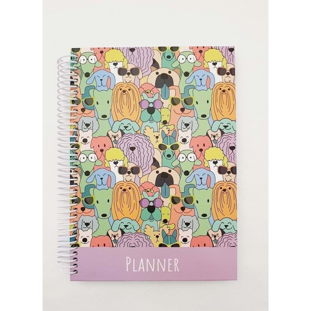 Liz Ayraçlı Planner 12x17 AJT02