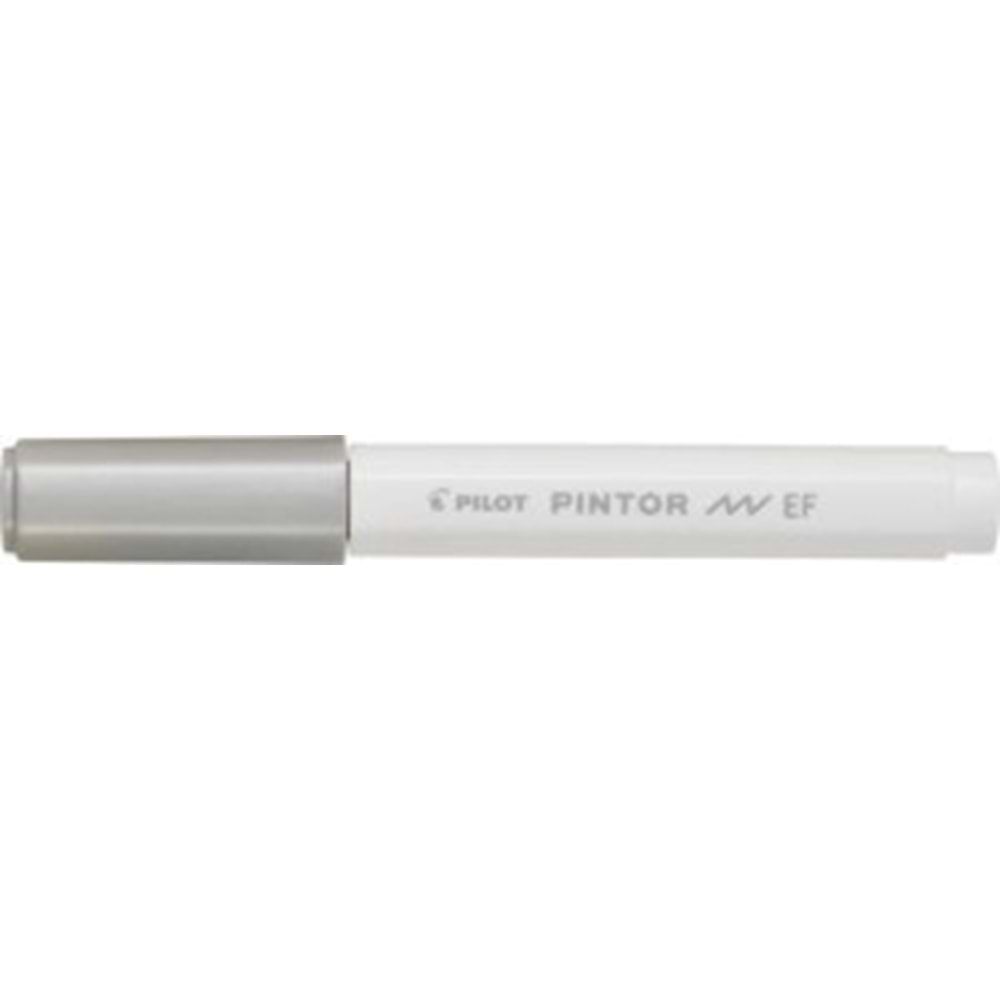 Pilot Pintor (EF) Gümüş Sw-pt-ef-s (1 Adet)