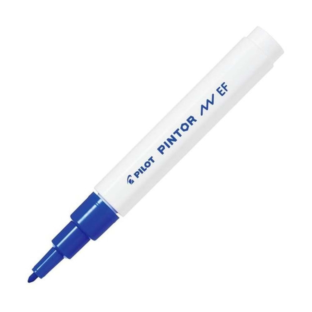Pilot Pintor (EF) Açık Mavi SW-PT-EF-LB (1 Adet)