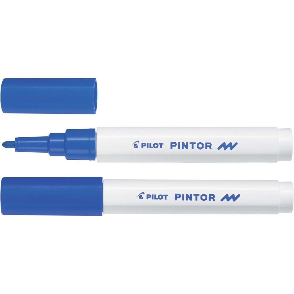Pilot Pintor (F) Mavi SW-PT-F-L (1 Adet)
