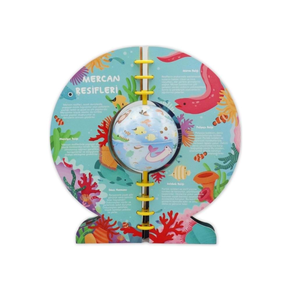 Gürbüz Küre Kitap Suda Yaşam 11 Cm 12013