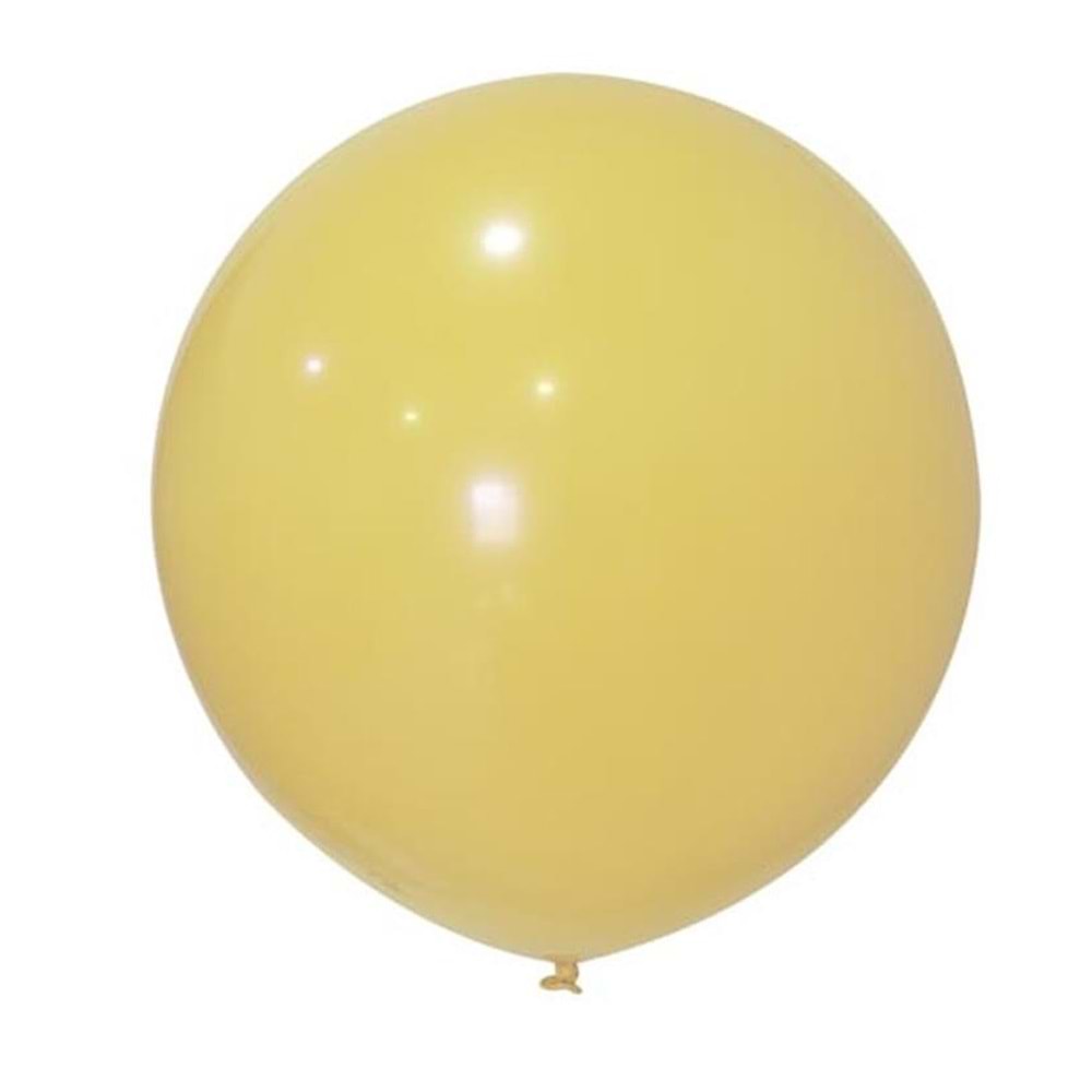 Balonevi Balon 24