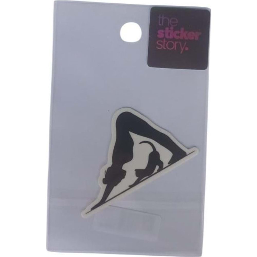 Ekstrafix The Sticker Story Tss0009