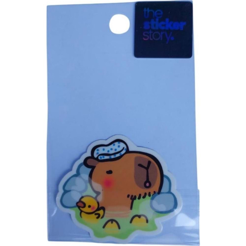 Ekstrafix The Sticker Story Tss0032