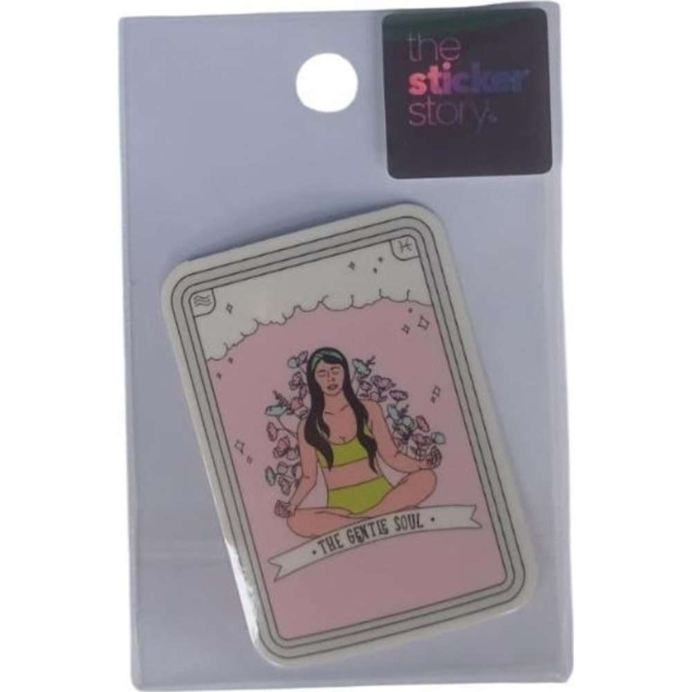 Ekstrafix The Sticker Story Tss0035