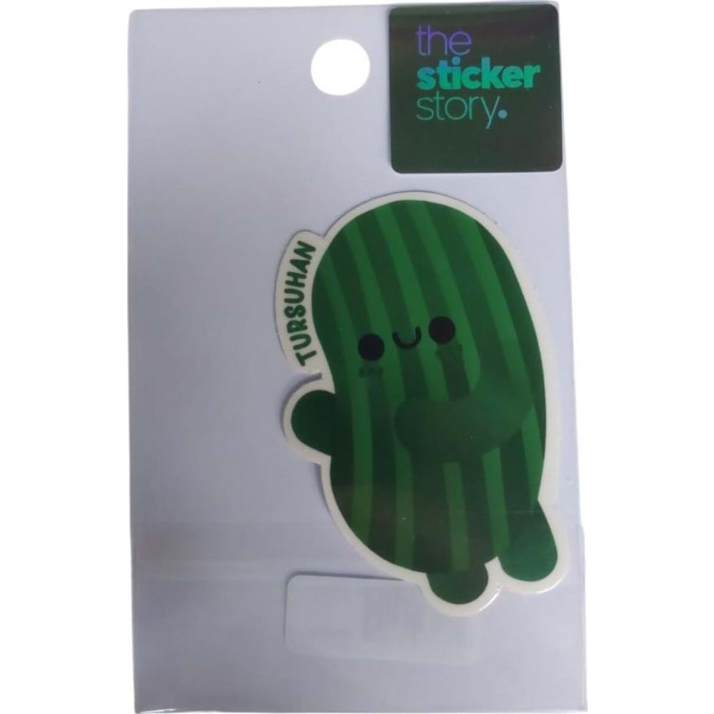 Ekstrafix The Sticker Story Tss0062