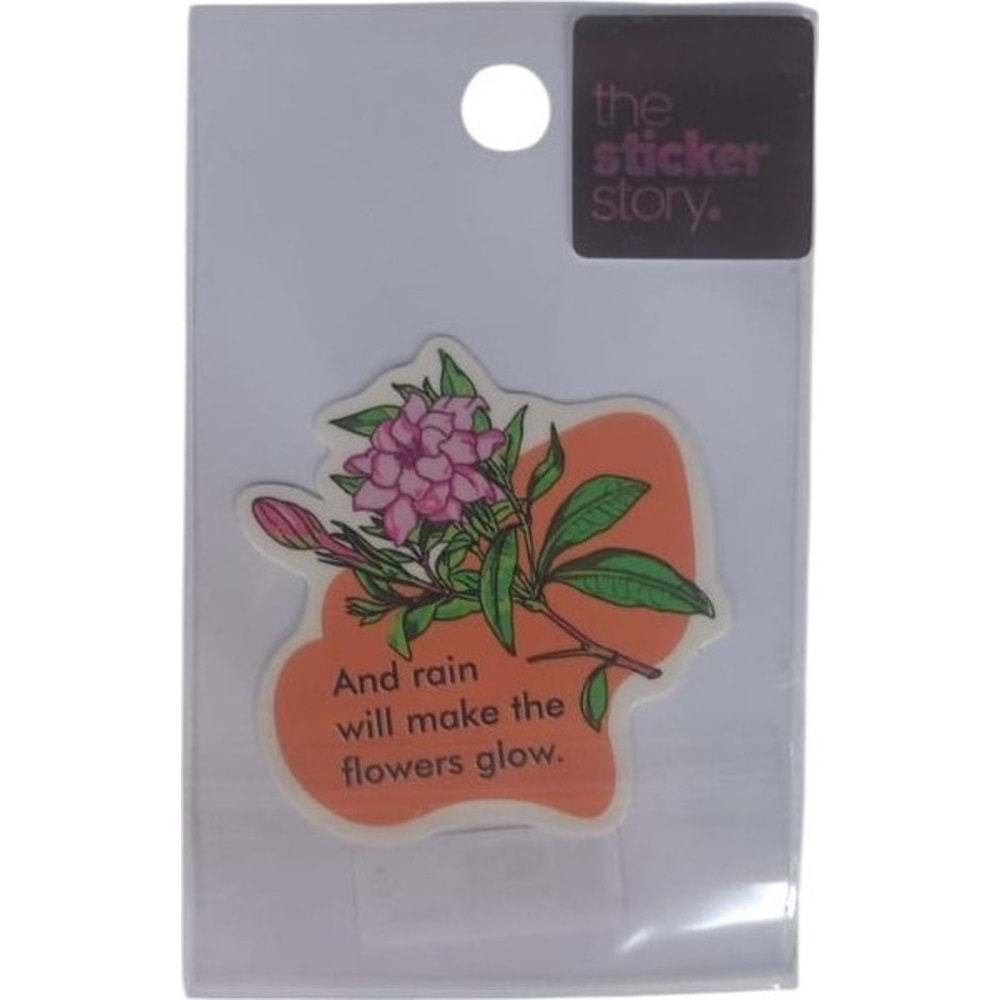 Ekstrafix The Sticker Story Tss0092