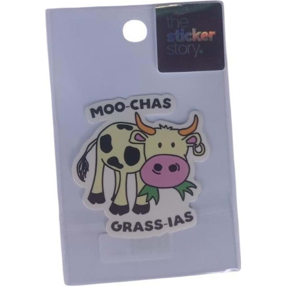 Ekstrafix The Sticker Story Tss0129