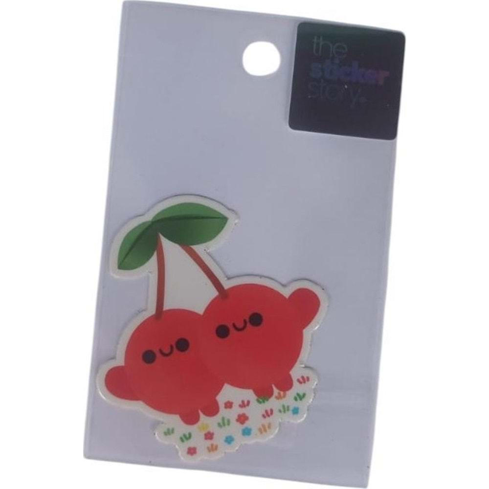 Ekstrafix The Sticker Story Tss0165