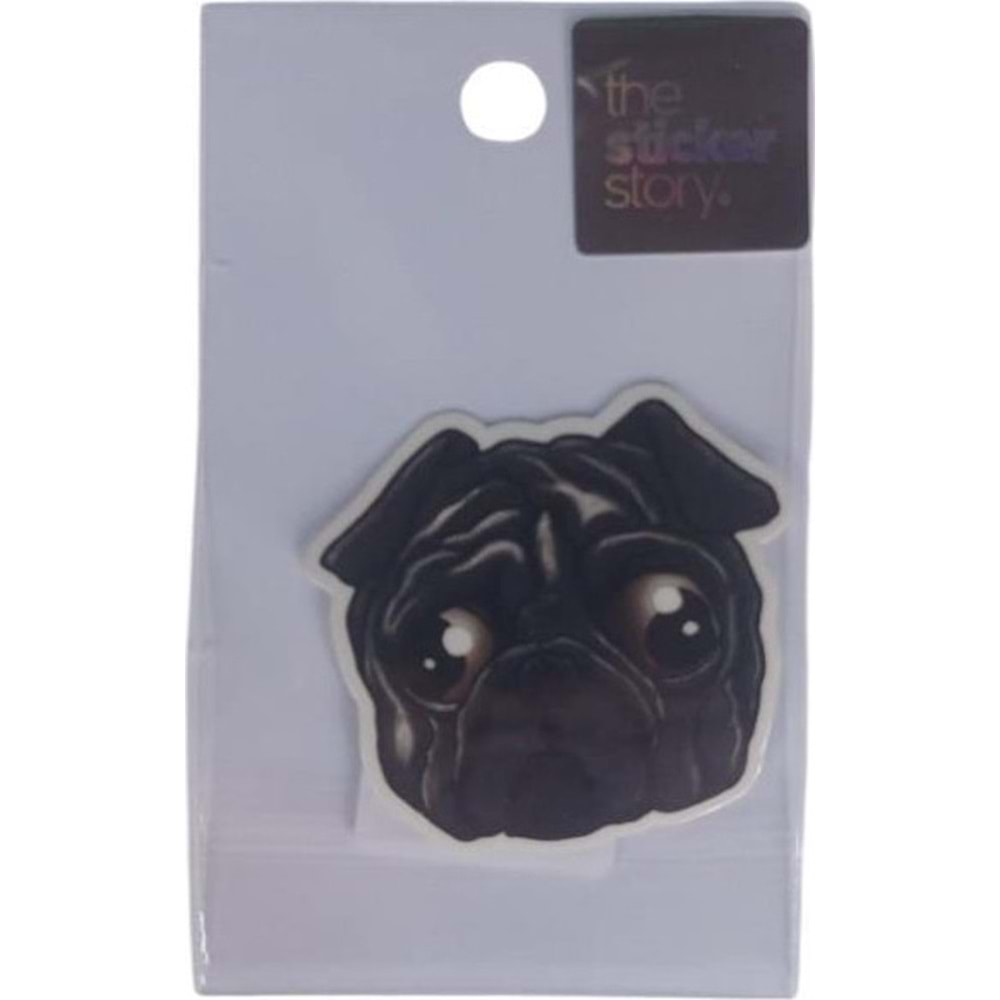 Ekstrafix The Sticker Story Tss0182