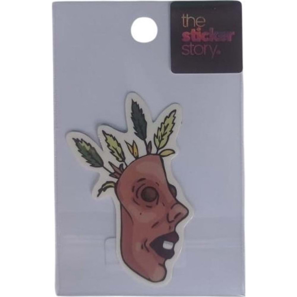Ekstrafix The Sticker Story Tss0209