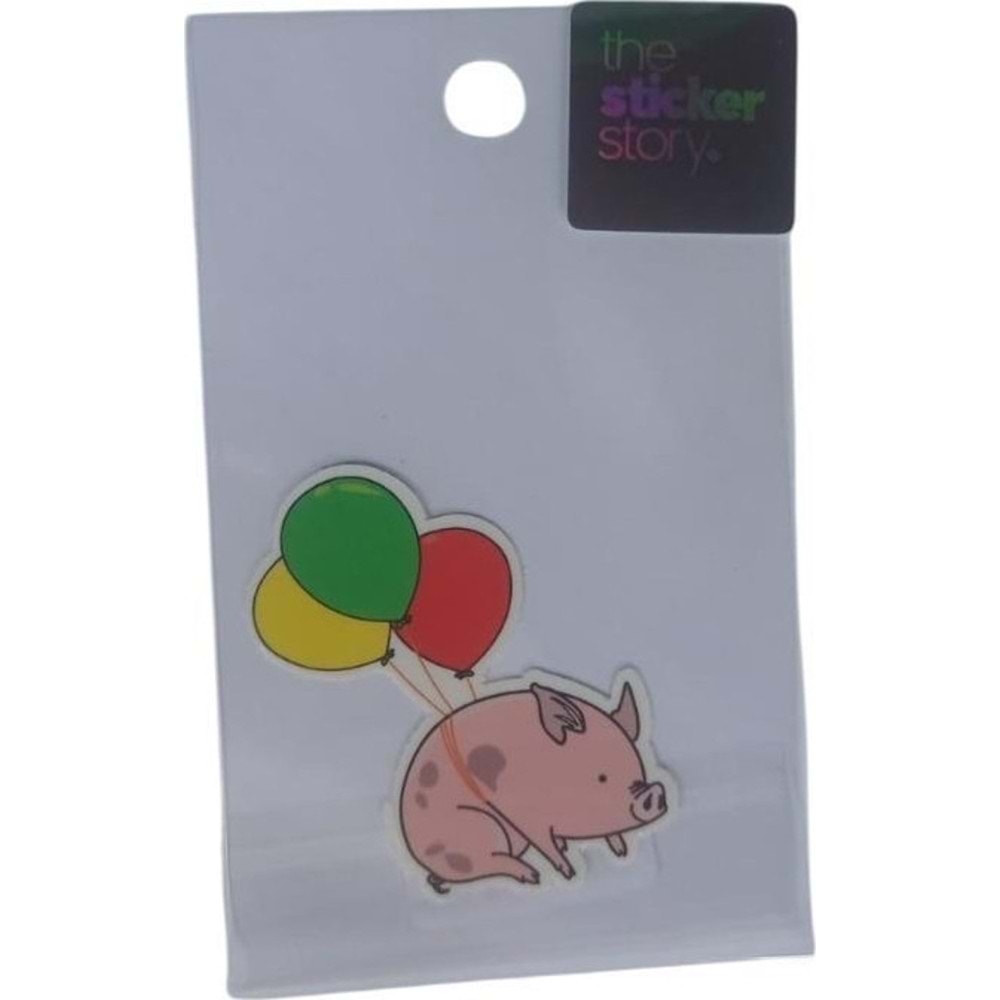 Ekstrafix The Sticker Story Tss0239