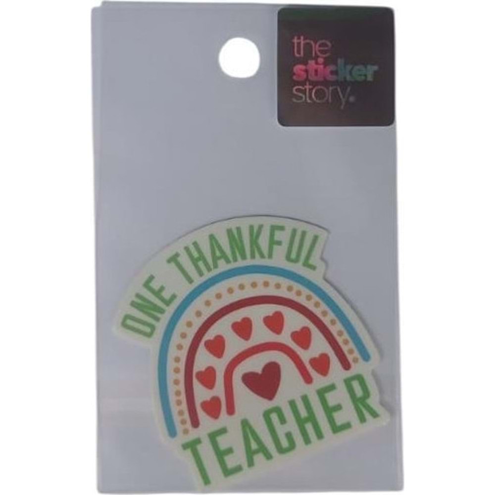 Ekstrafix The Sticker Story Tss0258