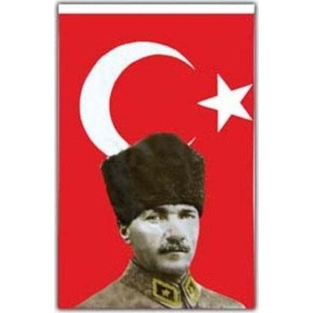 Vatan Türk Bayrağı Atalı Polyester 100x150 VT209