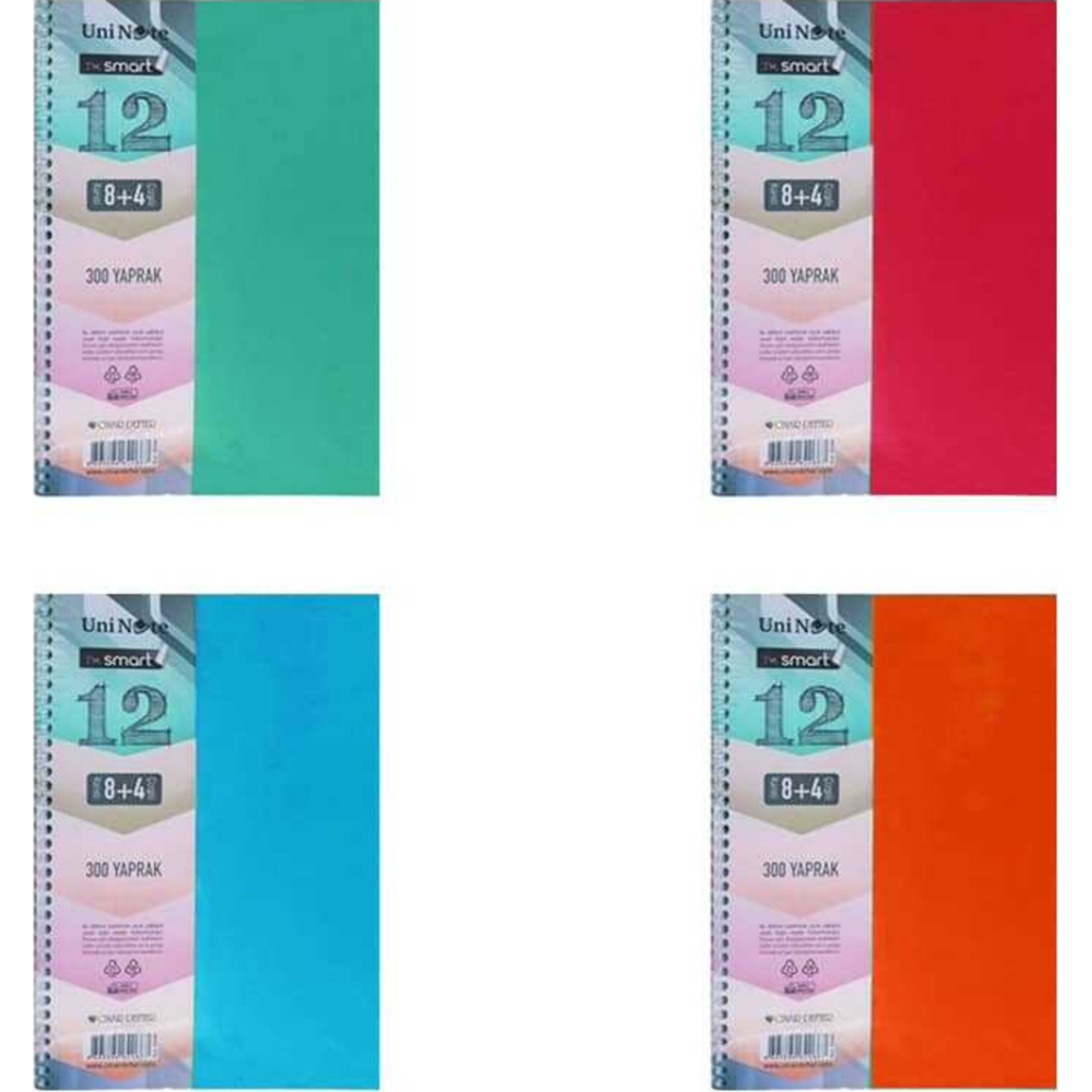 Çınar A4 300 IM Smart Ayraçlı Defter 8+3+1