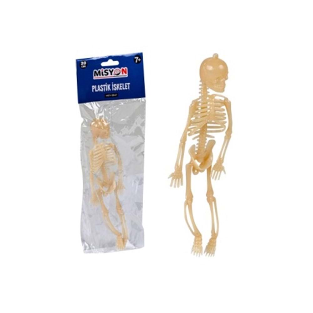 Misyon Plastik İskelet Ec-27 MSY-5647