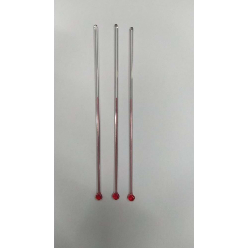 Cam Termometre