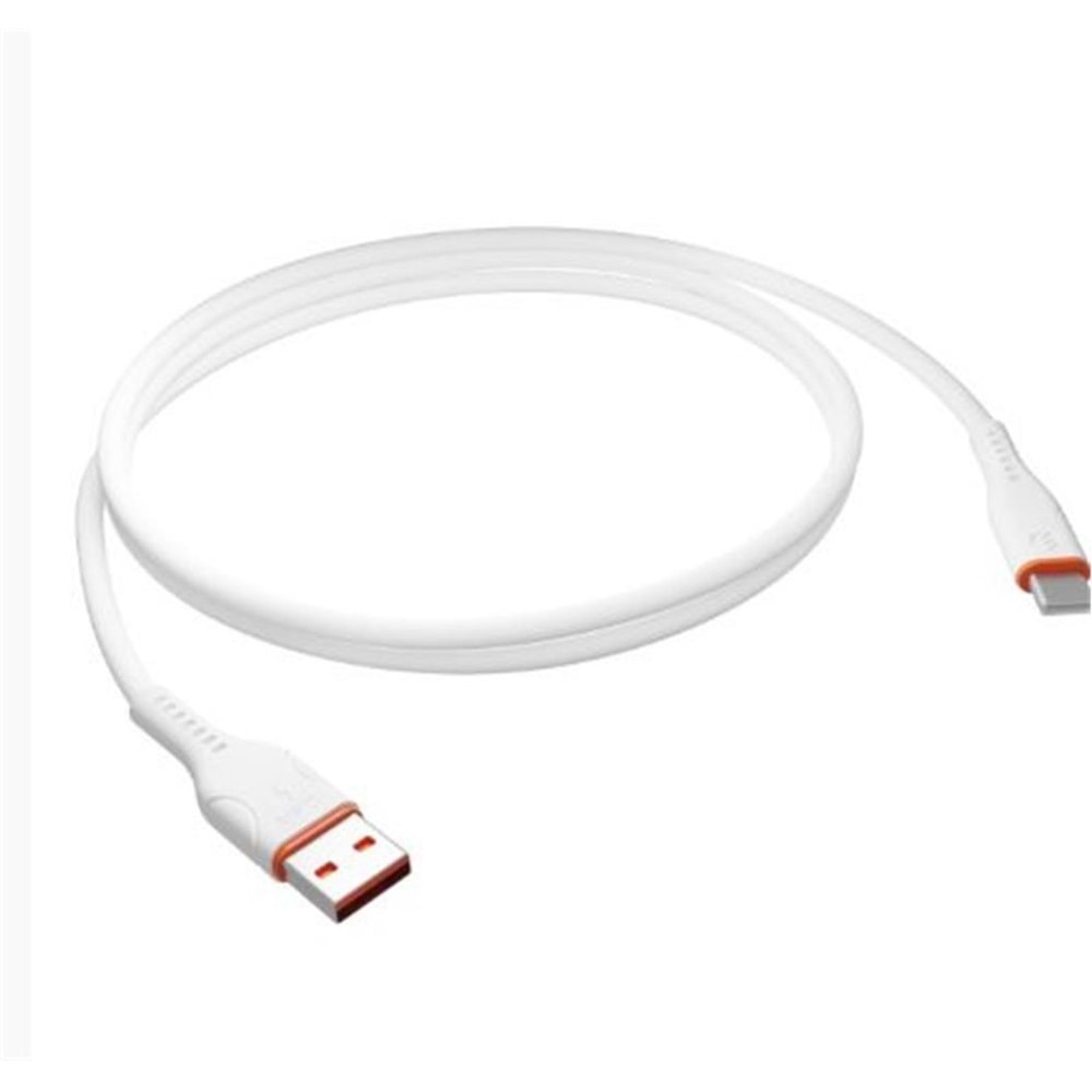 S-link SL-X246E 1 Metre 12W 2.4A Type-C Güvenli Hızlı Data + Sarj Kablosu