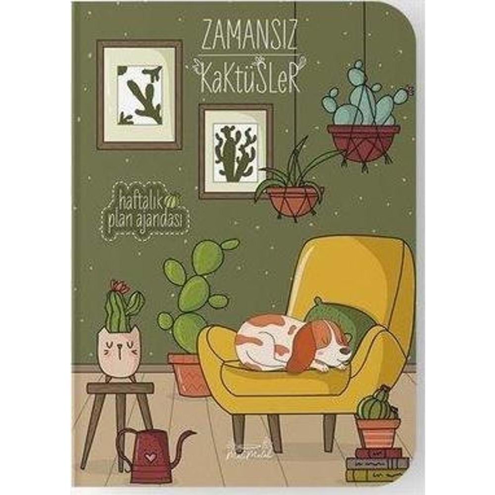 Melimelek Kaktüs Zamansız Kaktüs Opuntia 15x21,5