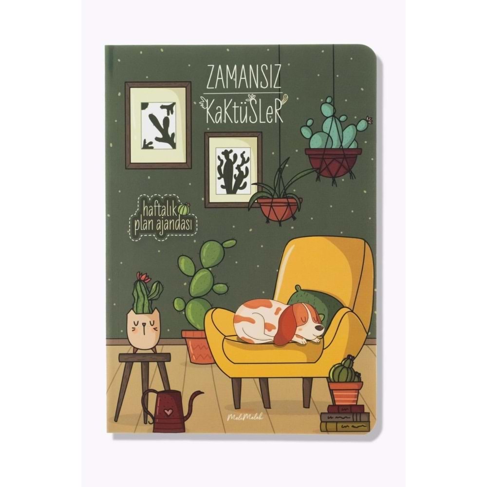 Melimelek Kaktüs Zamansız Kaktüs Opuntia 15x21,5