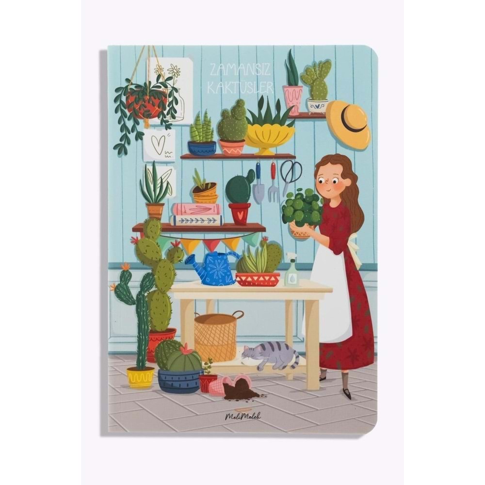 Melimelek Kaktüs Zamansız Kaktüs Echino 15x21,5