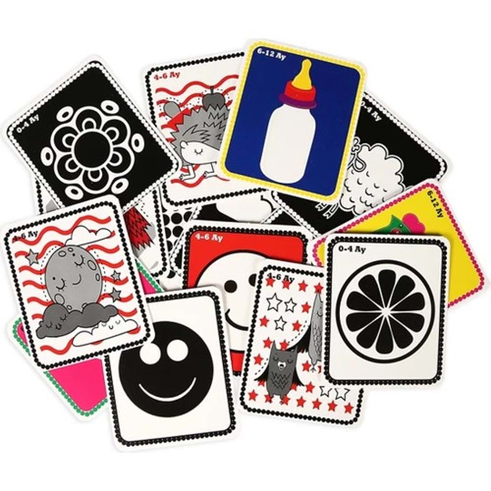 Dıy Toy Bebeğimin İlk Zeka Kartları 0-12 Ay Bzk1369