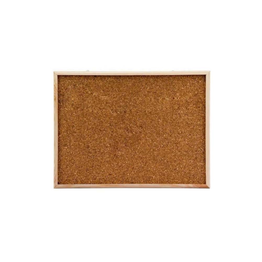 Simge Mantar Pano 45x60 0136