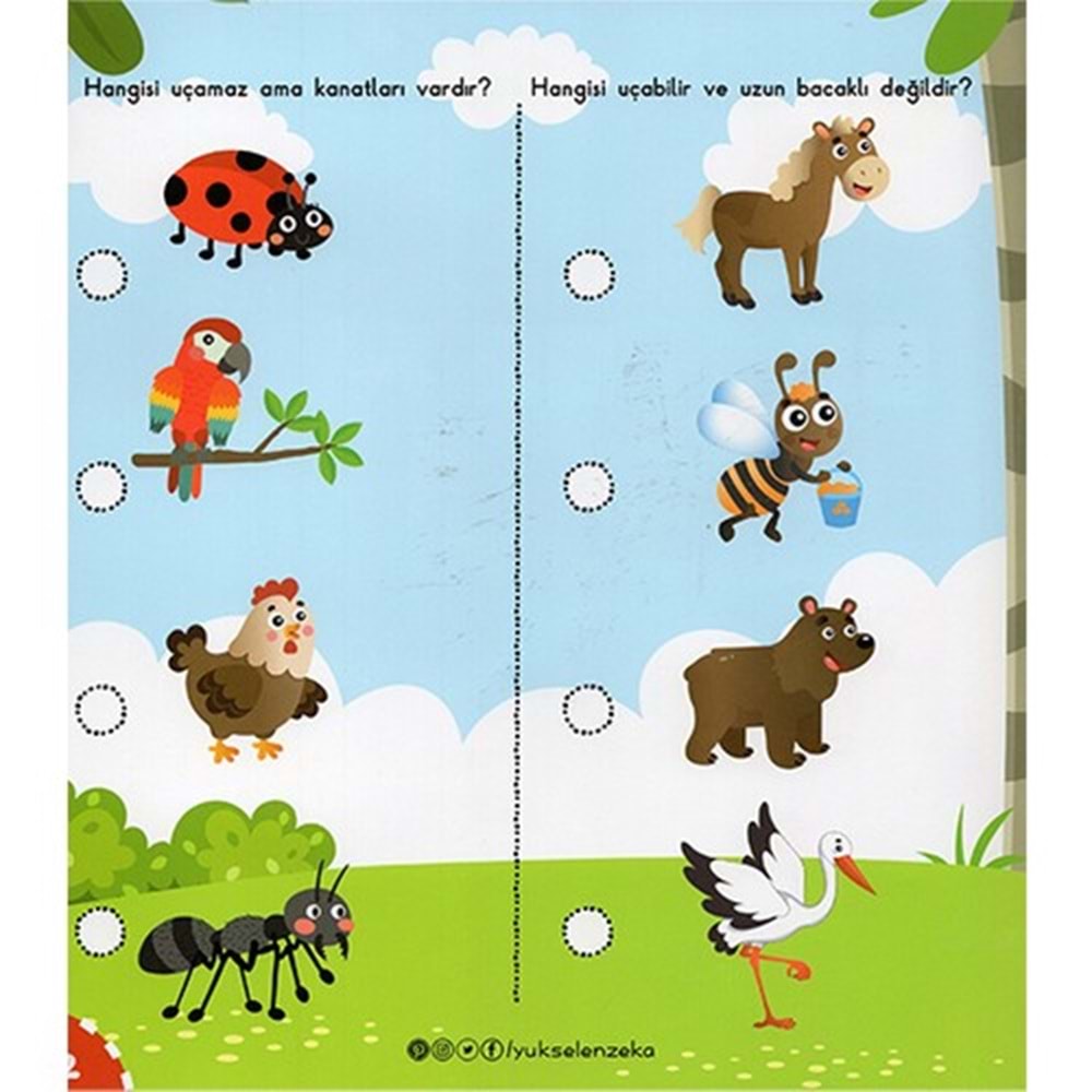 Yükselen Zeka Beyin Geliştirme Etkinlikleri Seti 3 Kitap