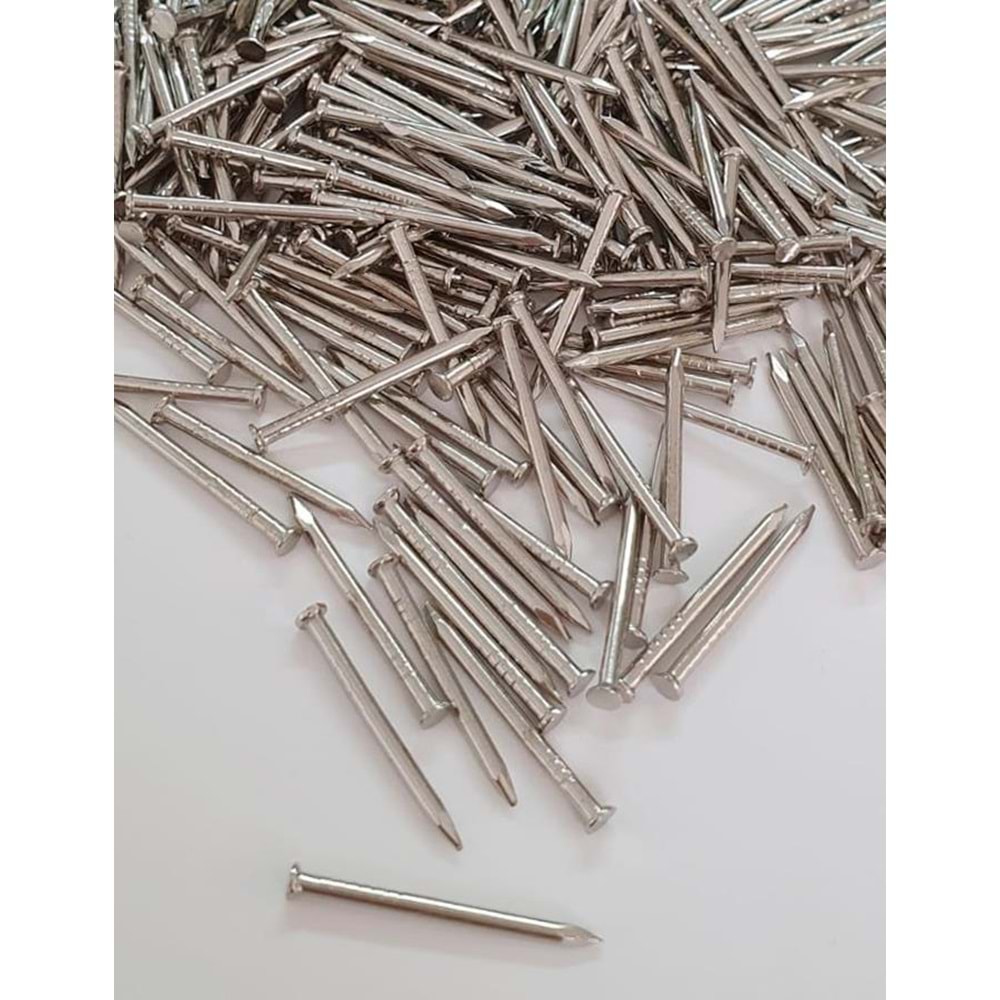 Filografi Çivisi (1 Gr)