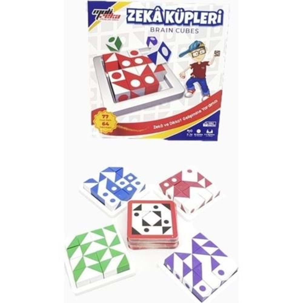 Moli Toys Zeka Küpleri
