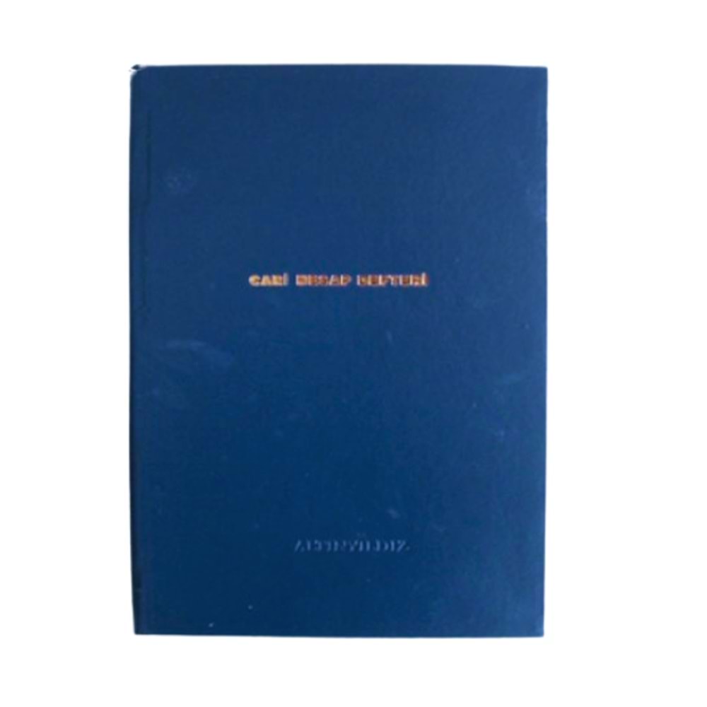 Altınyıldız Cari Defter 20X28 Dik 96 Yp