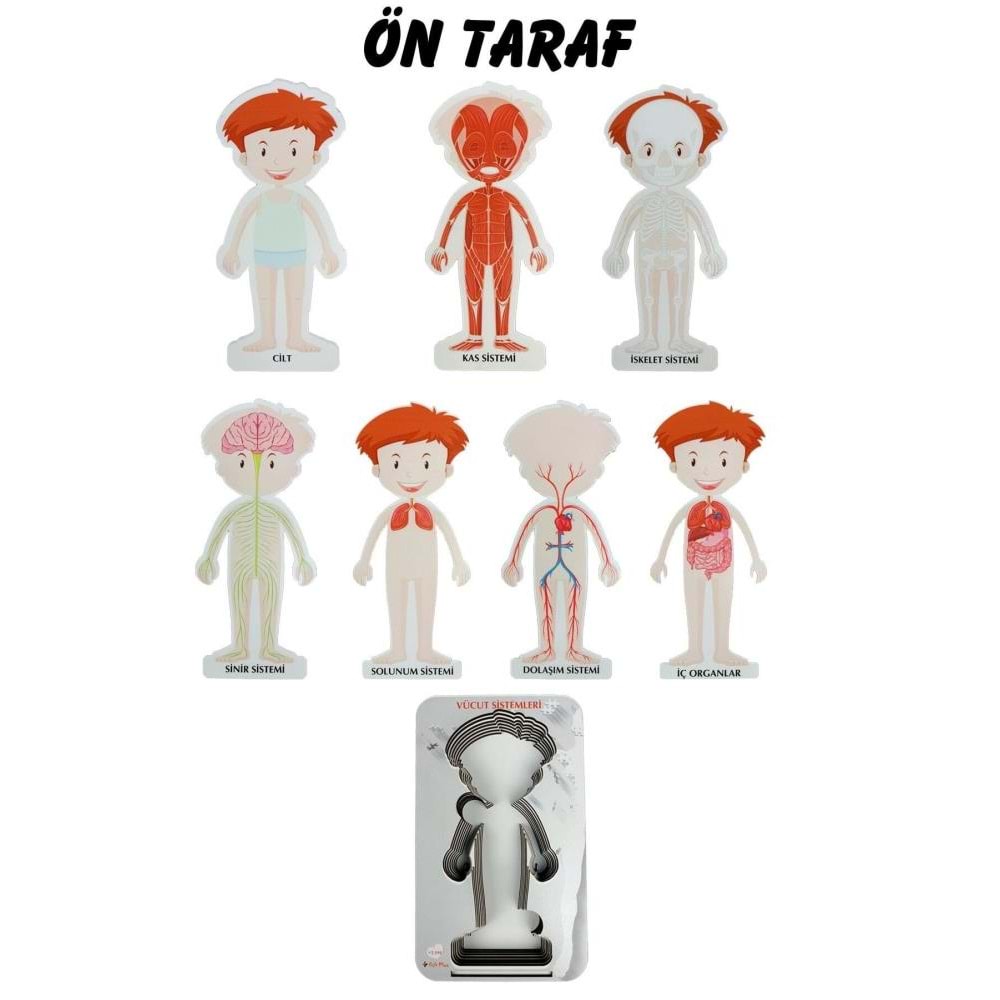 Gift Plus Ahşap Vücut Sistemleri 12x20 8 li