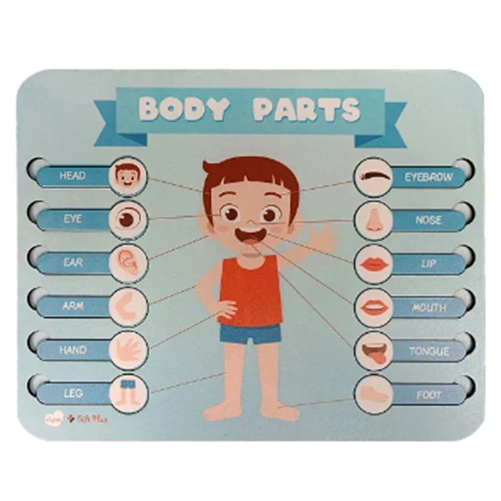 Gift Plus Ahşap Puzzle Body Parts 20x25