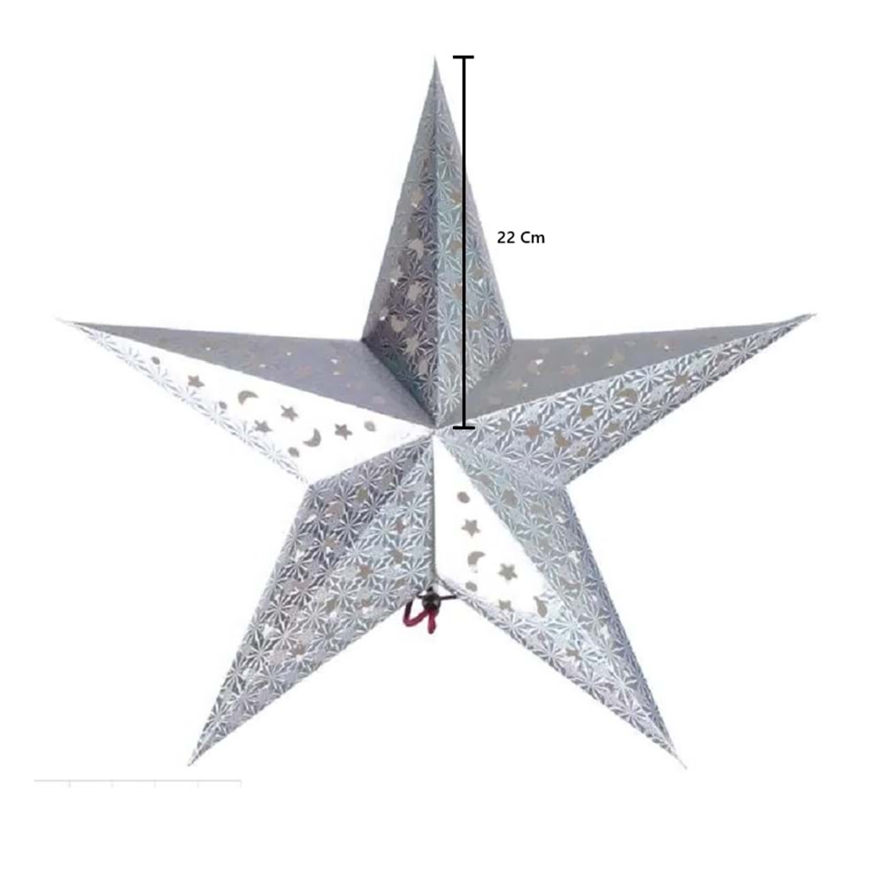 Karton Yıldız 3D Hologramlı 22cm Gümüş