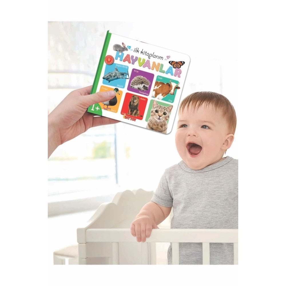 Dıy Toy İlk Kitaplarım Seti 6lı